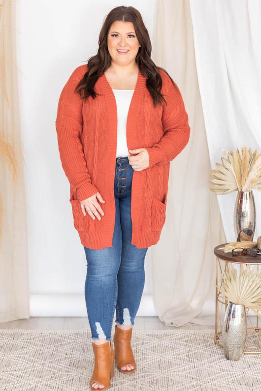 Won't Change My Heart Rust Cardigan FINAL SALE