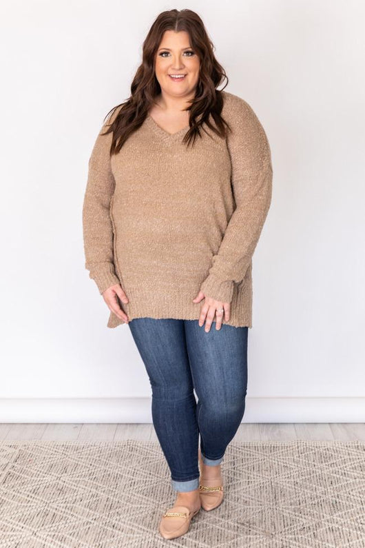 Inspirations Song Taupe Popcorn Knit V-Neck Sweater