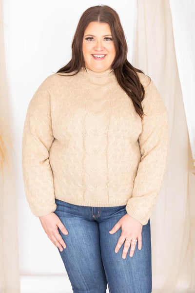 Visions Of Us Taupe Mock Neck Cable Knit Sweater