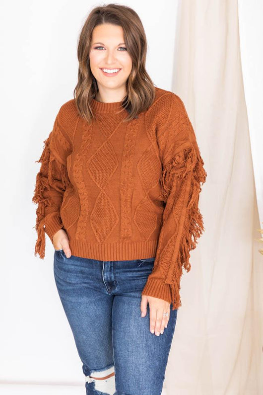 Specific Interest Brown Fringe Sweater FINAL SALE